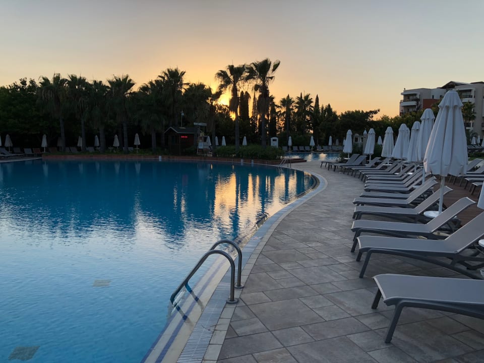 Pool Lara Barut Collection