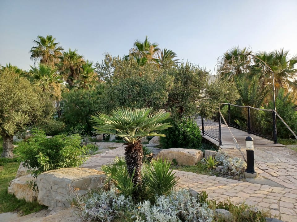 Gartenanlage TUI MAGIC LIFE Africana