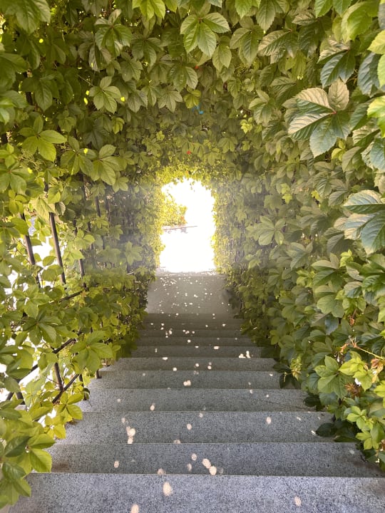 Sonstiges Dream World Palace Hotel