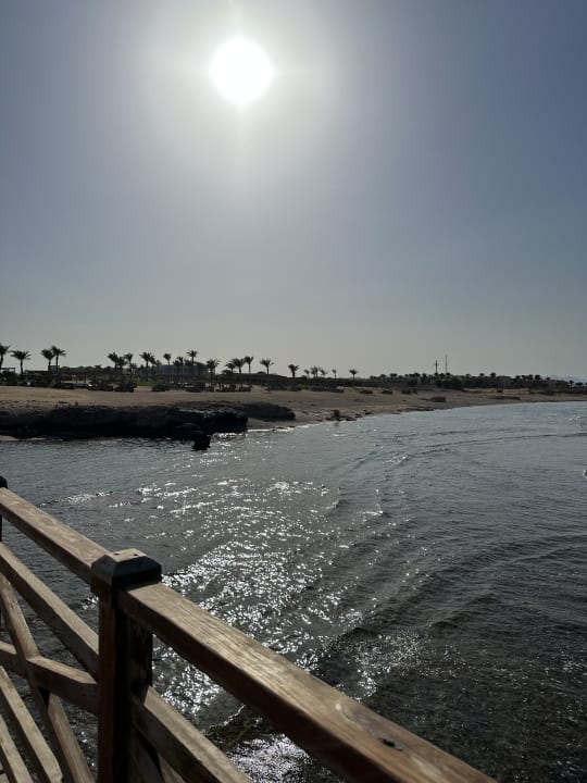 Strand Steigenberger Resort Alaya Marsa Alam - Red Sea - Adults only