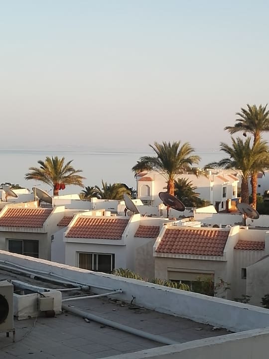 Zimmer Marlin Inn Azur Resort