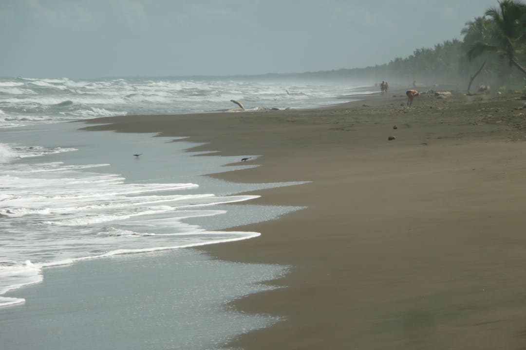 Strand Hotel Miss Junie's