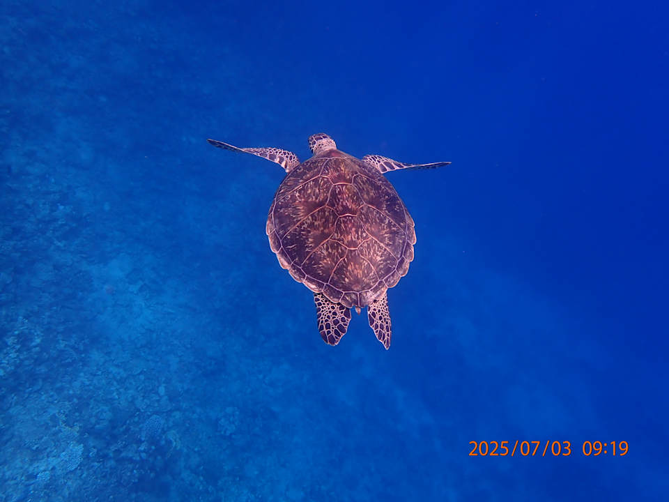 Sport & Freizeit Pickalbatros Villaggio Resort - Portofino