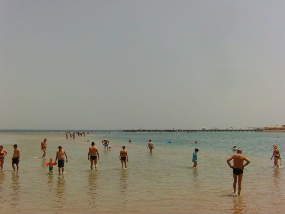Sehr weitläufig Pickalbatros Dana Beach Resort - Hurghada