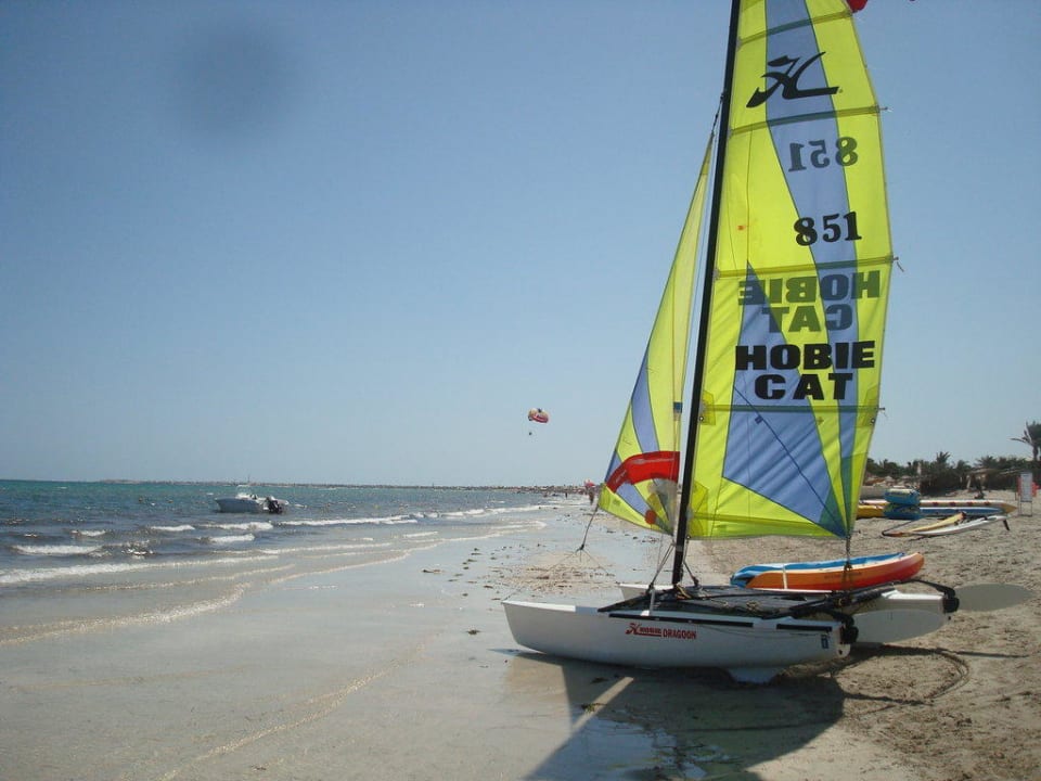 Bei unserer ersten Fahrt haben wir Delfine gesehen Caribbean World Thalasso Djerba