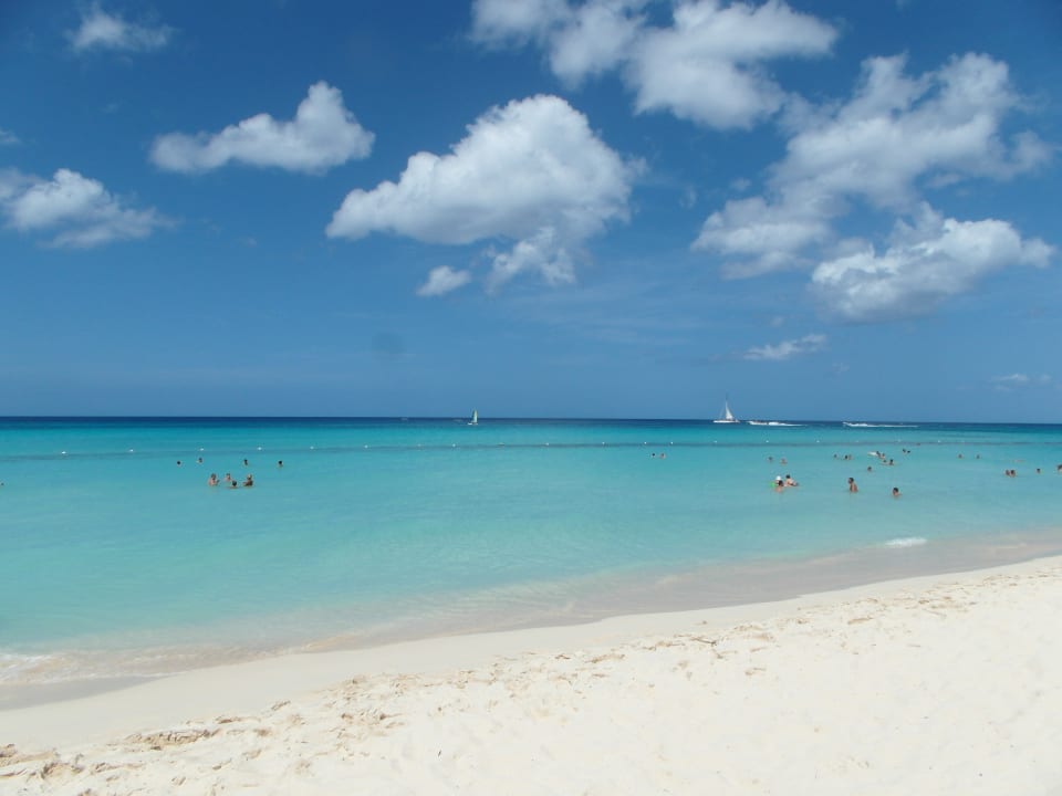 Strand Catalonia Royal La Romana - Adults only