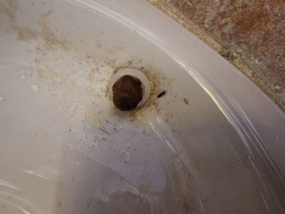 Zimmer Pickalbatros Citadel Resort