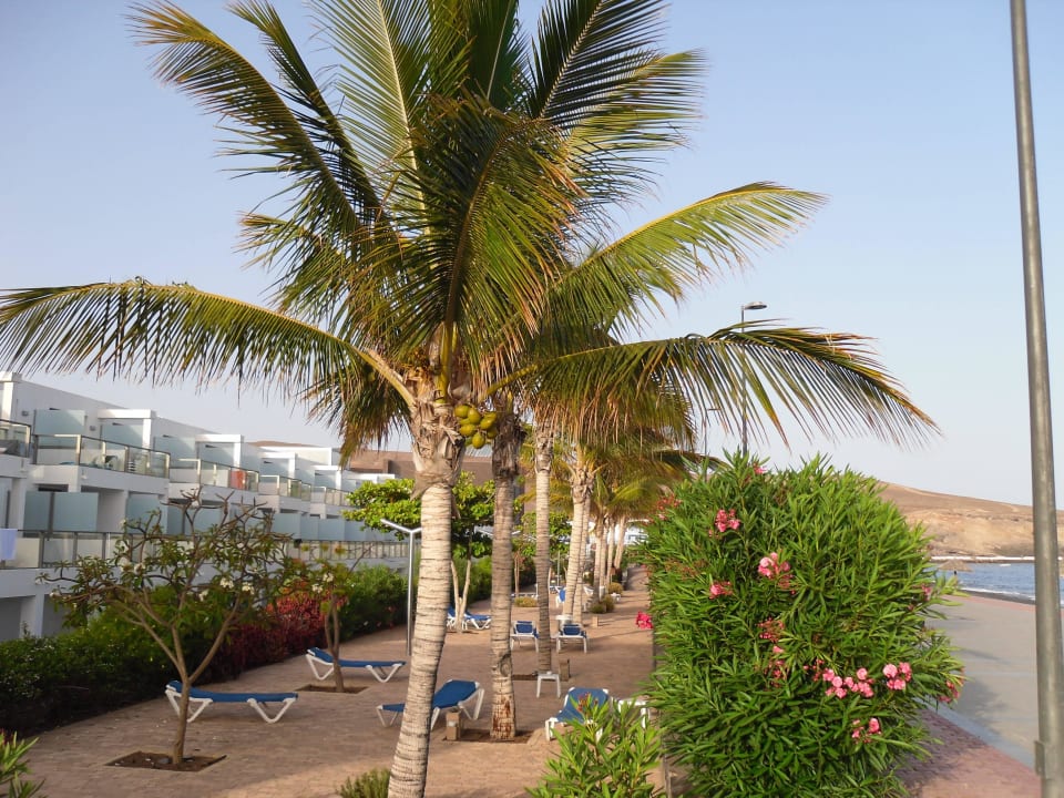 Liegebereich, Strandseite. R2 Bahía Playa Design Hotel & Spa - Adults Only