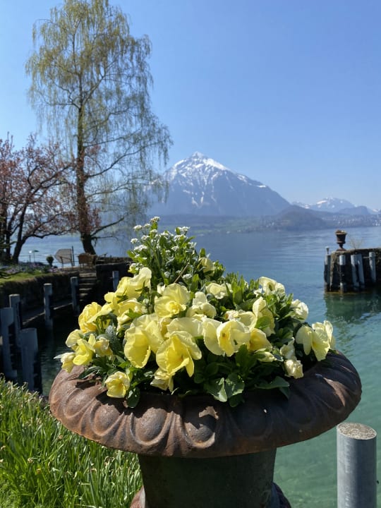 Gartenanlage Gut Ralligen