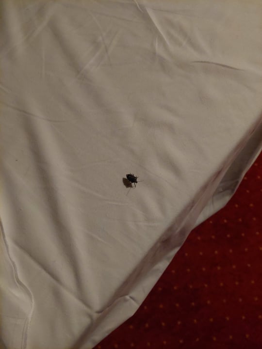 Zimmer Mercure Hotel Bad Dürkheim An Den Salinen