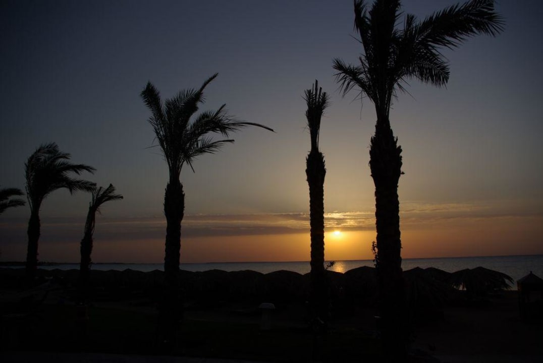 La plage au lever du soleil Sentido Caribbean World Soma Bay