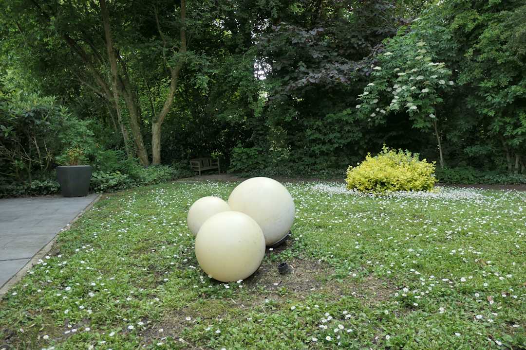 Gartenanlage Architektenhaus am Pewsumer Tief