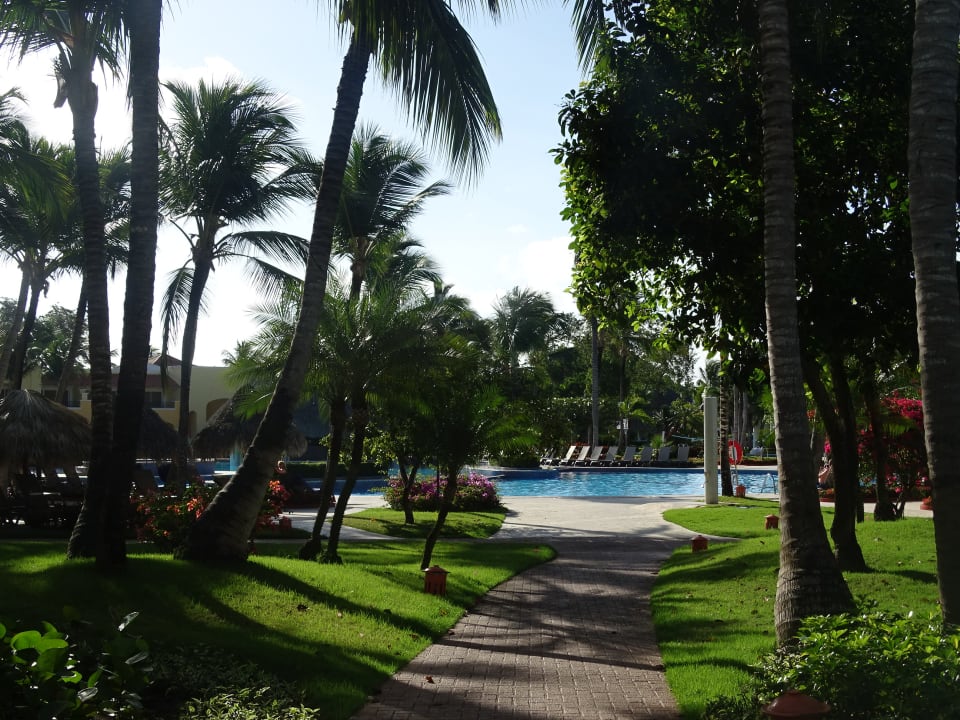 Pool Iberostar Selection Hacienda Dominicus