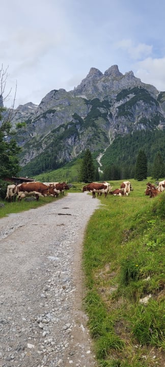 Außenansicht Gut Wenghof - Family Resort