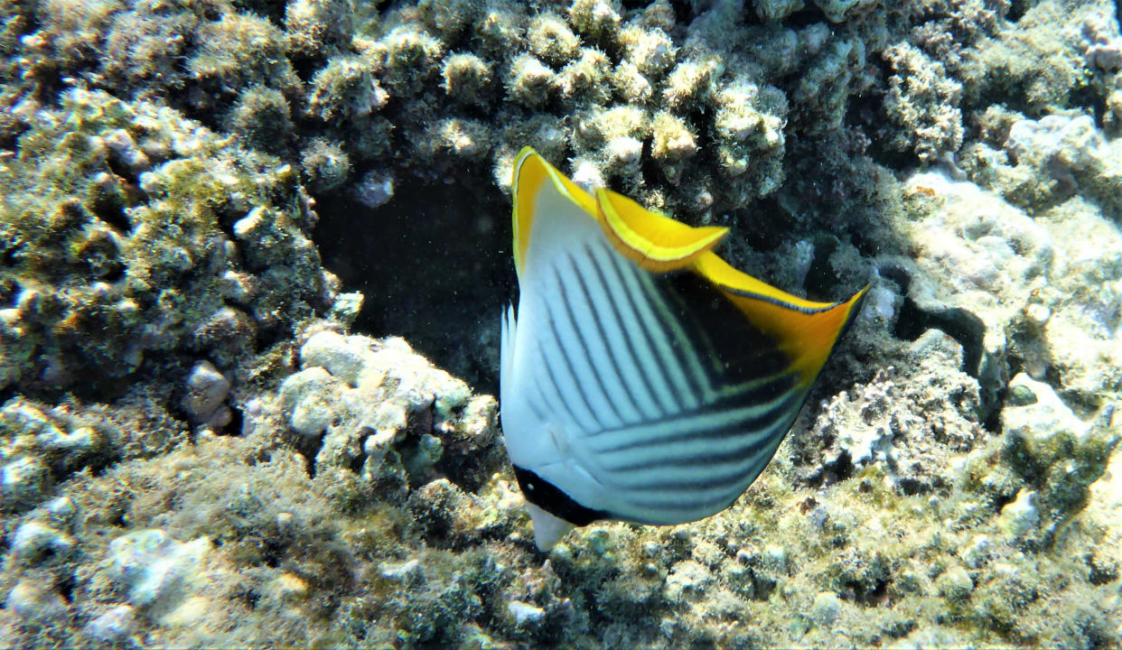 Sport & Freizeit Cleopatra Luxury Resort Makadi Bay