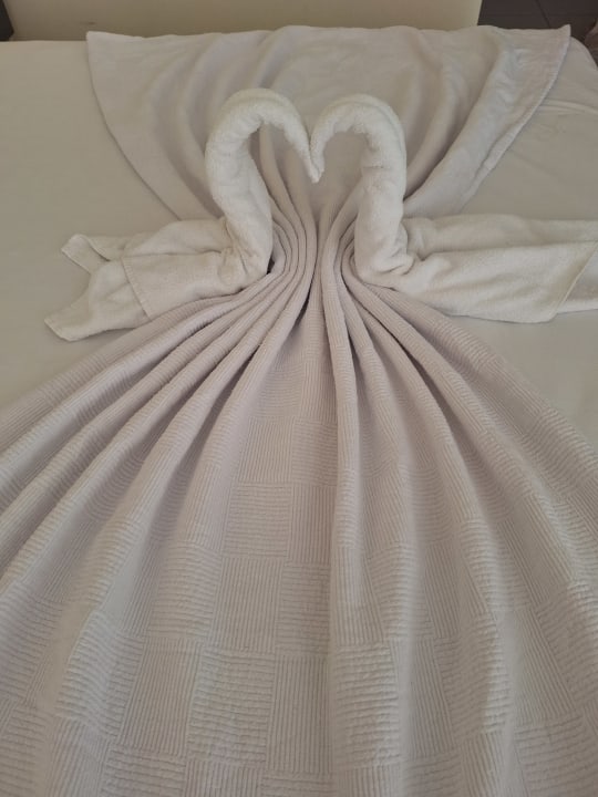 Zimmer Hotel Orfeus Park