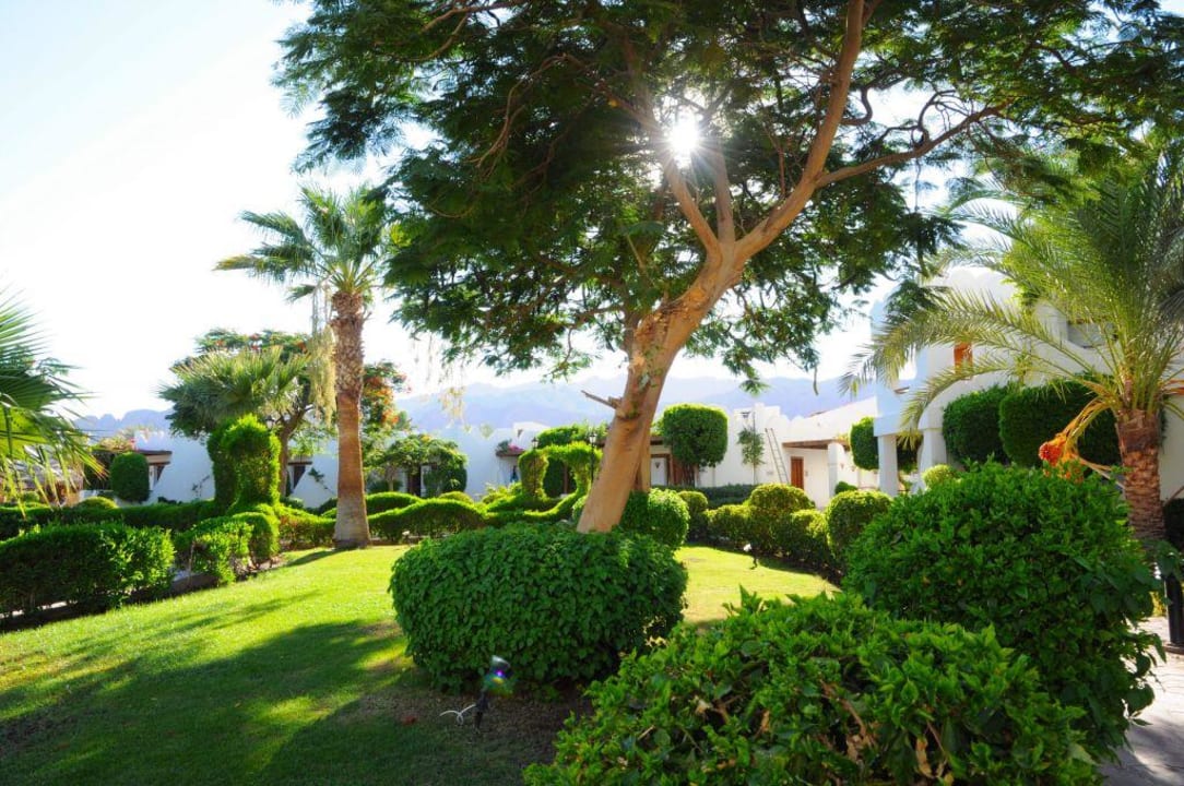 Schöne Gartenanlage (2) Swiss Inn Resort Dahab