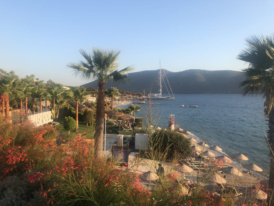 Ausblick TUI MAGIC LIFE Bodrum - Adult Only (16+)