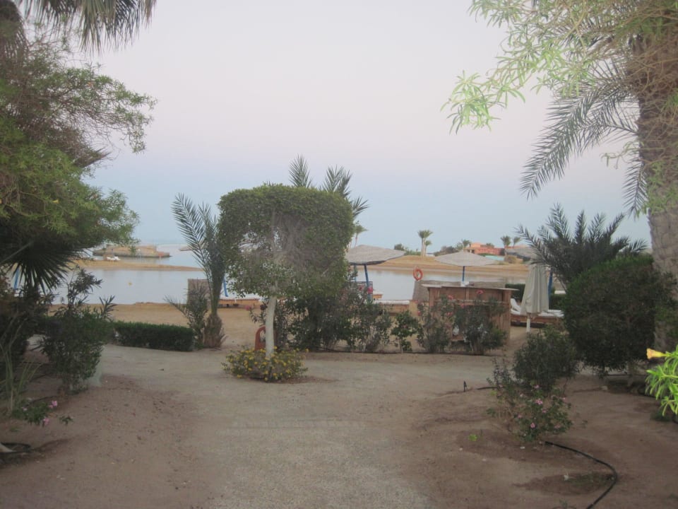 Blick auf Relaxation beach Sheraton Miramar Resort El Gouna