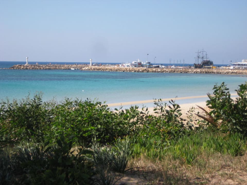Ausblick auf den Hafen von Ayia Napa Hotel Grecian Bay