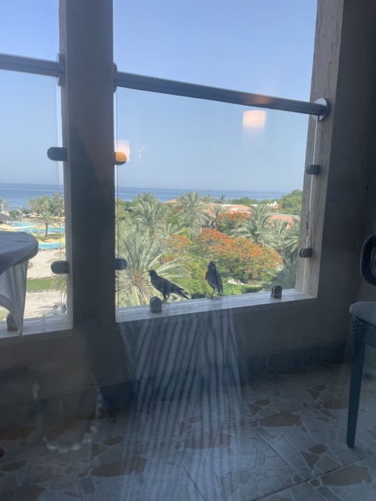 Zimmer Fujairah Rotana Resort & Spa