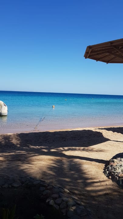 Strand Palm Beach Resort