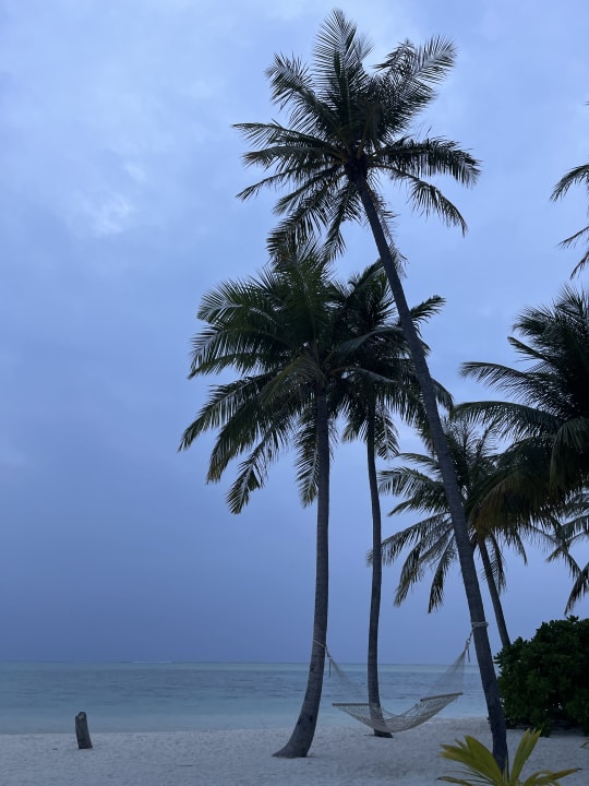 Strand Hotel Riu Atoll