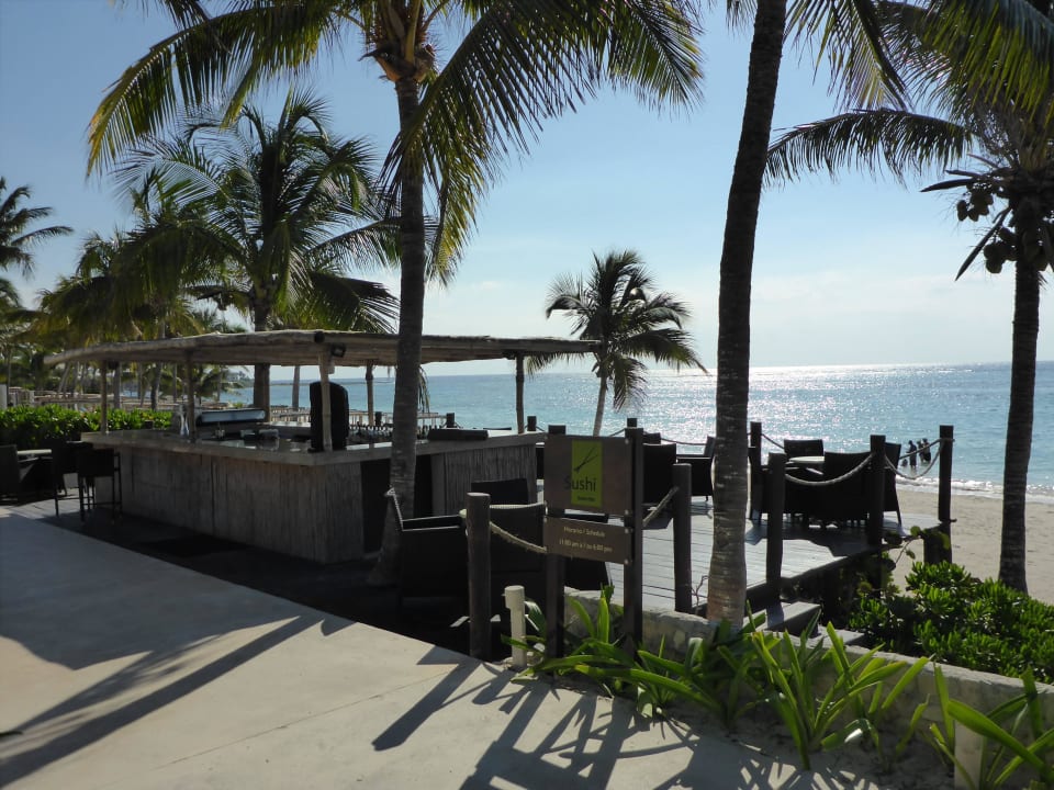 Sushi Bar  Akumal Bay Beach & Wellness Resort