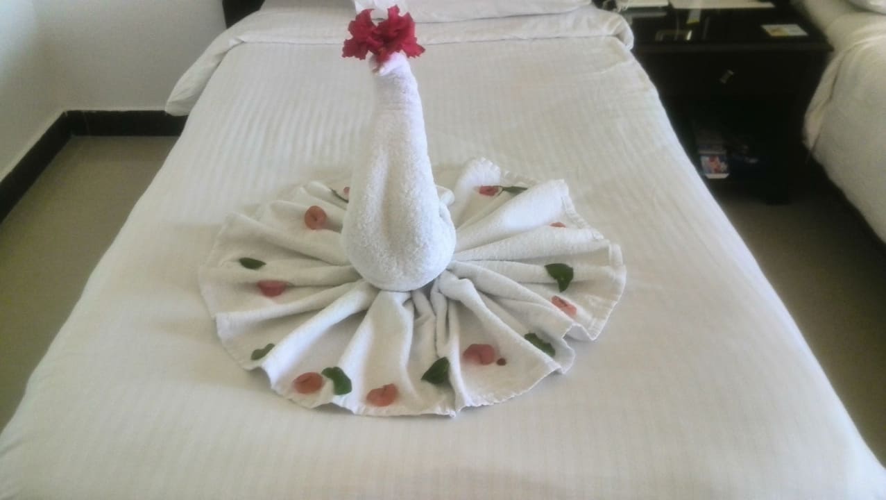 Zimmer Three Corners Happy Life Beach Resort