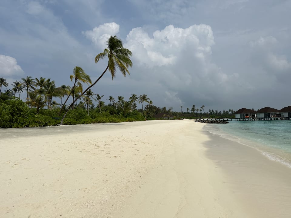 Strand TUI BLUE Olhuveli Romance