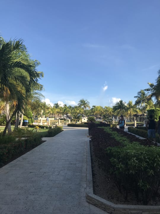 Gartenanlage Melia Las Antillas - Adults only