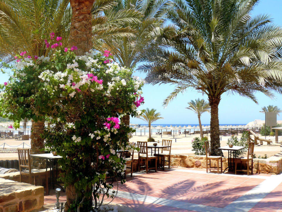 Strandbar Jaz Dar EL Madina
