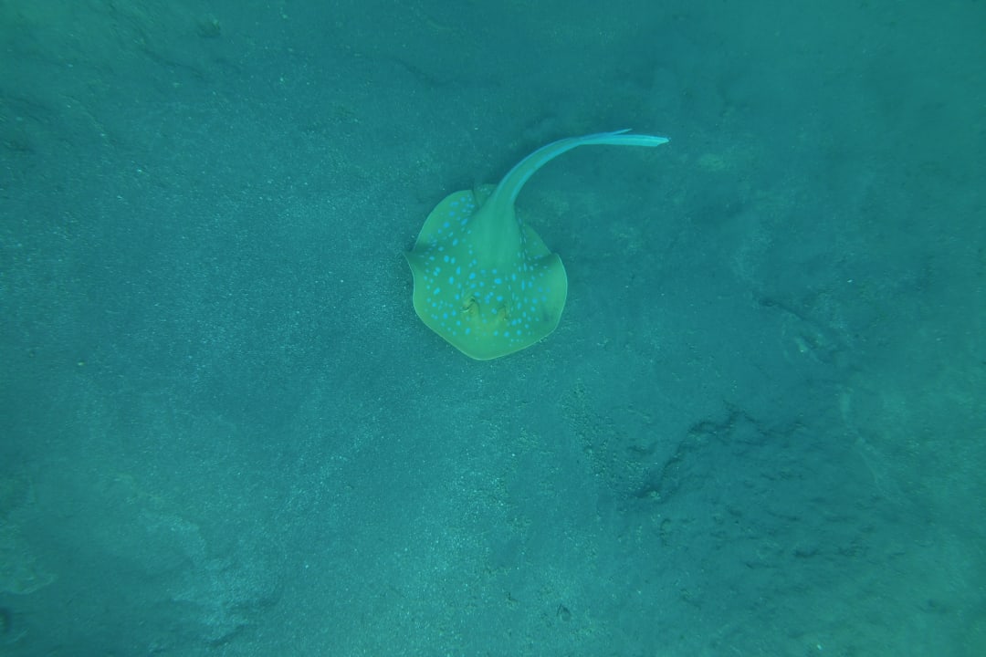 Strand Premier Le Reve Hotel & Spa