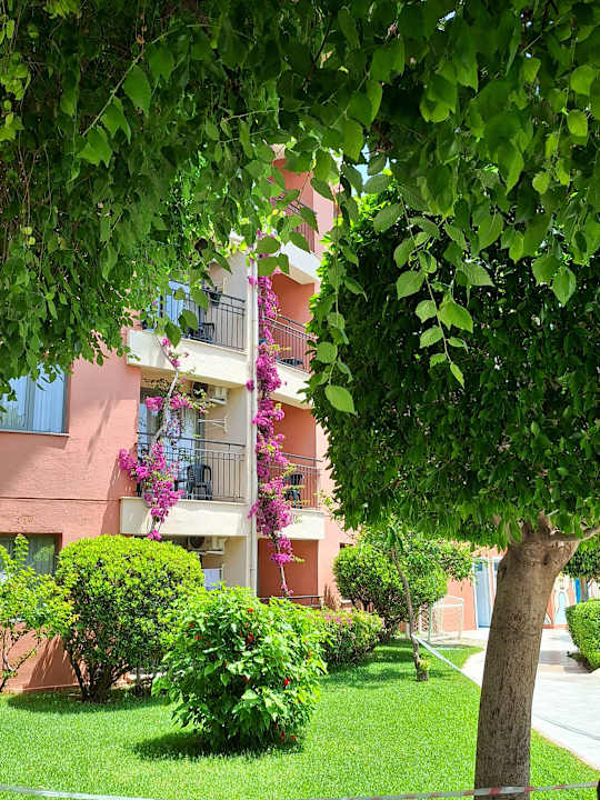 Ausblick Palmeras Beach Hotel