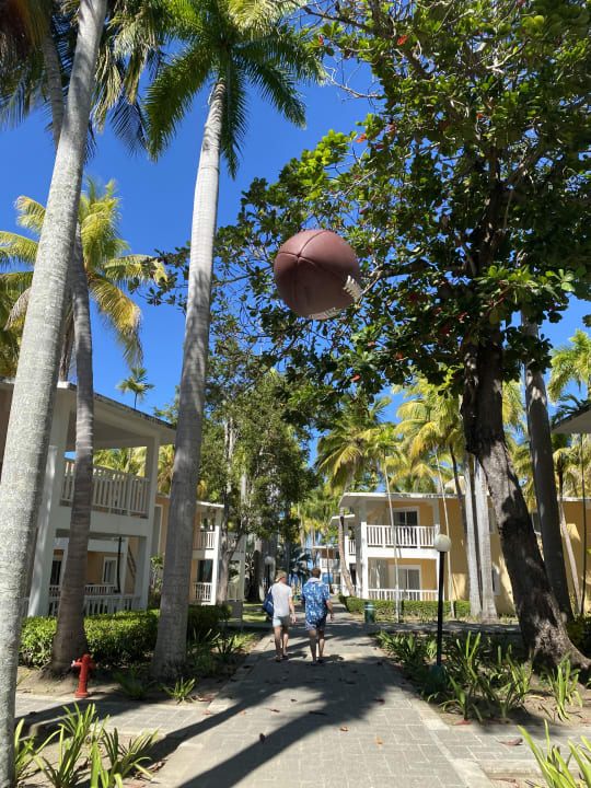 Außenansicht Playabachata Hotel