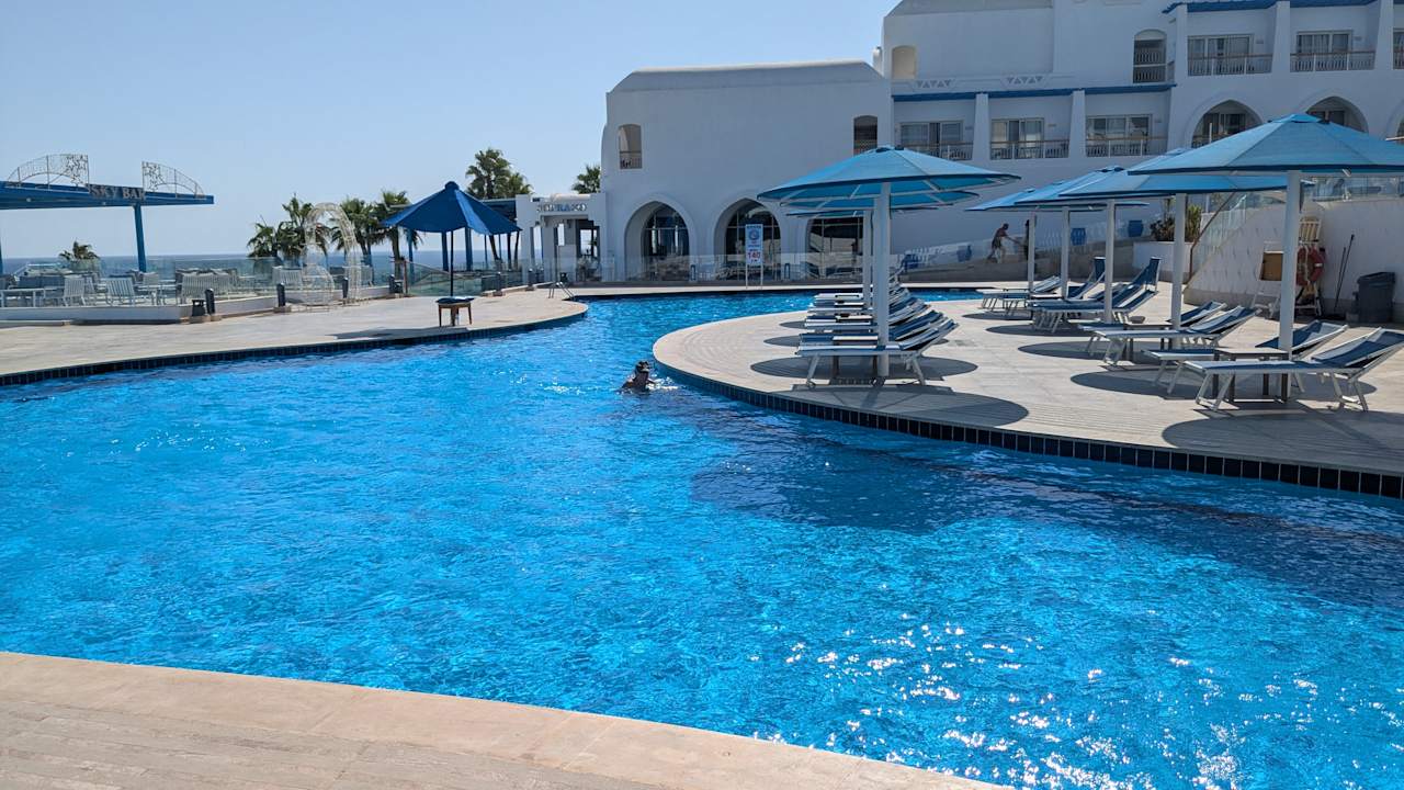 Pool Pickalbatros Palace Resort