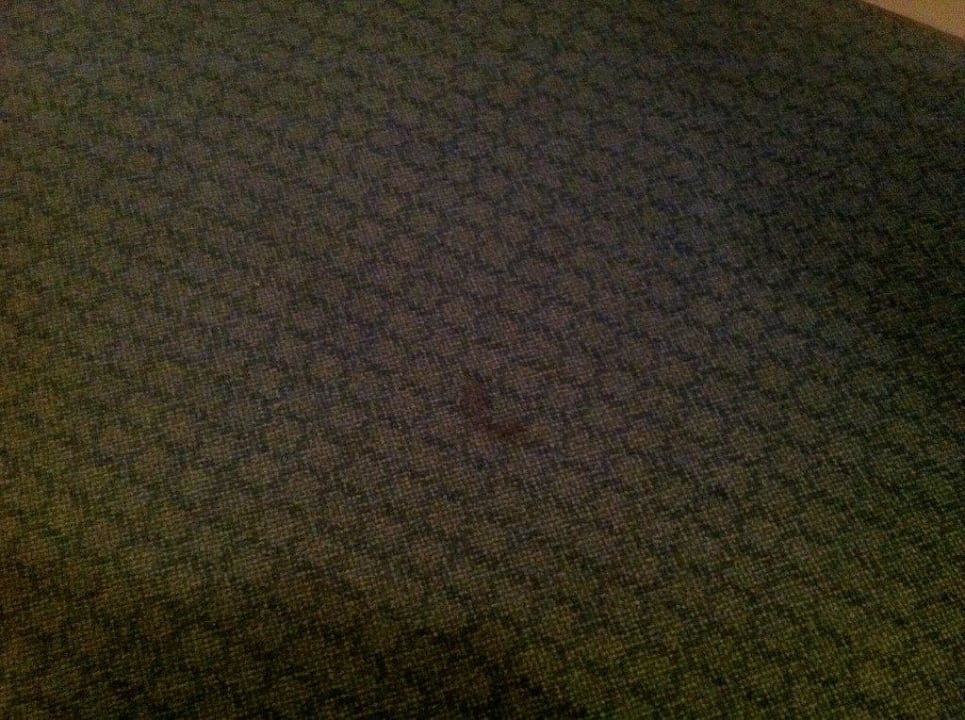 Teppichboden Center Parcs Park Nordseeküste