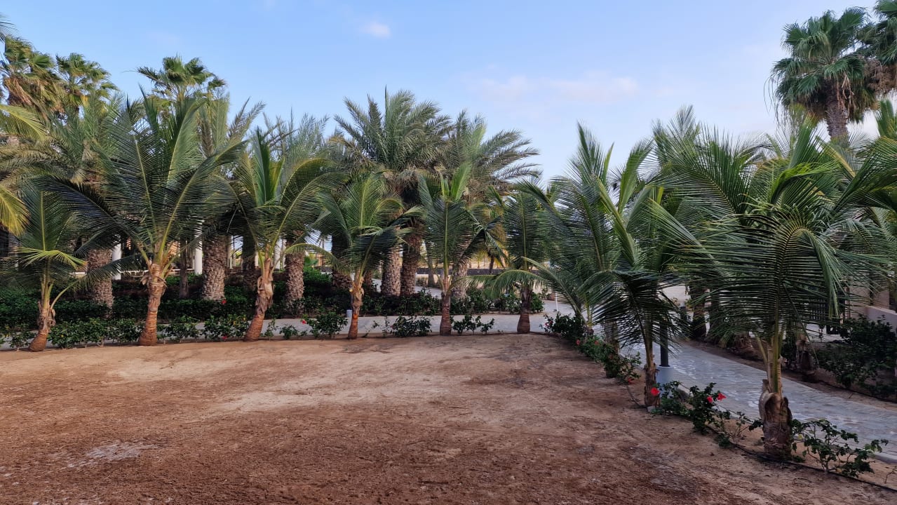 Gartenanlage Hotel Riu Cabo Verde