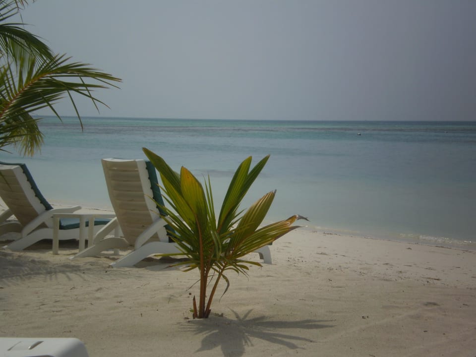 Blick von der Liege  Meeru Maldives Resort Island