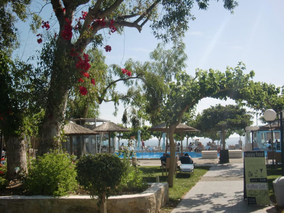 Pool-& Restaurantbereich Corissia Beach Hotel