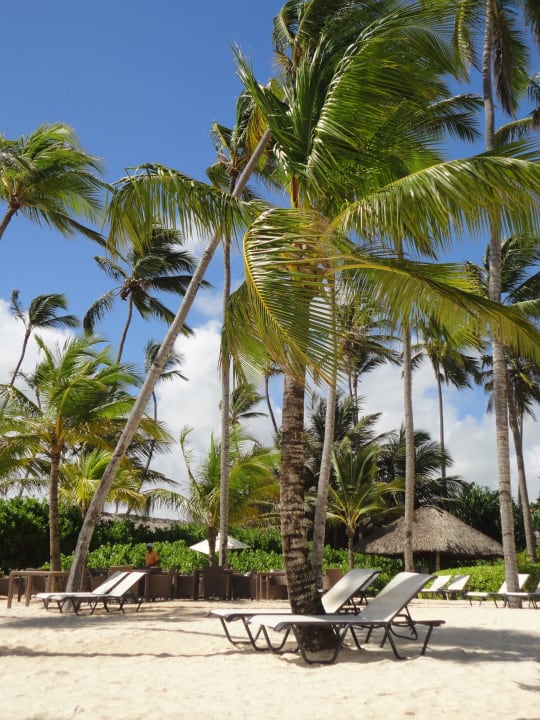 Hotelstrand Secrets Royal Beach Punta Cana - Adults only