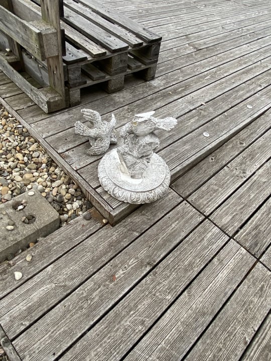 Sonstiges Vitalhotel König am Park