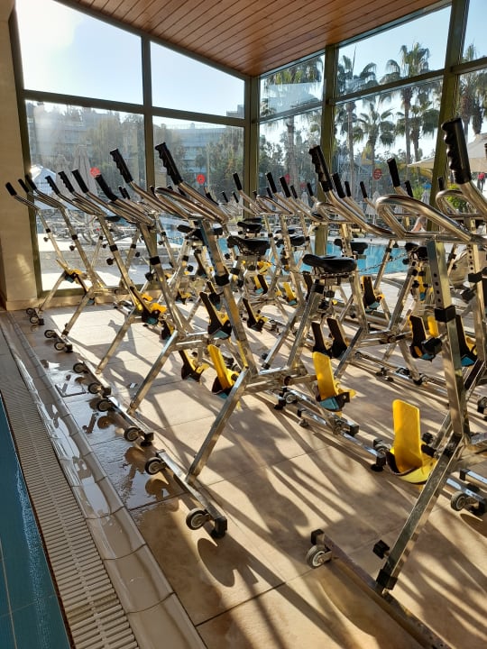 Sport & Freizeit Arum Barut Collection