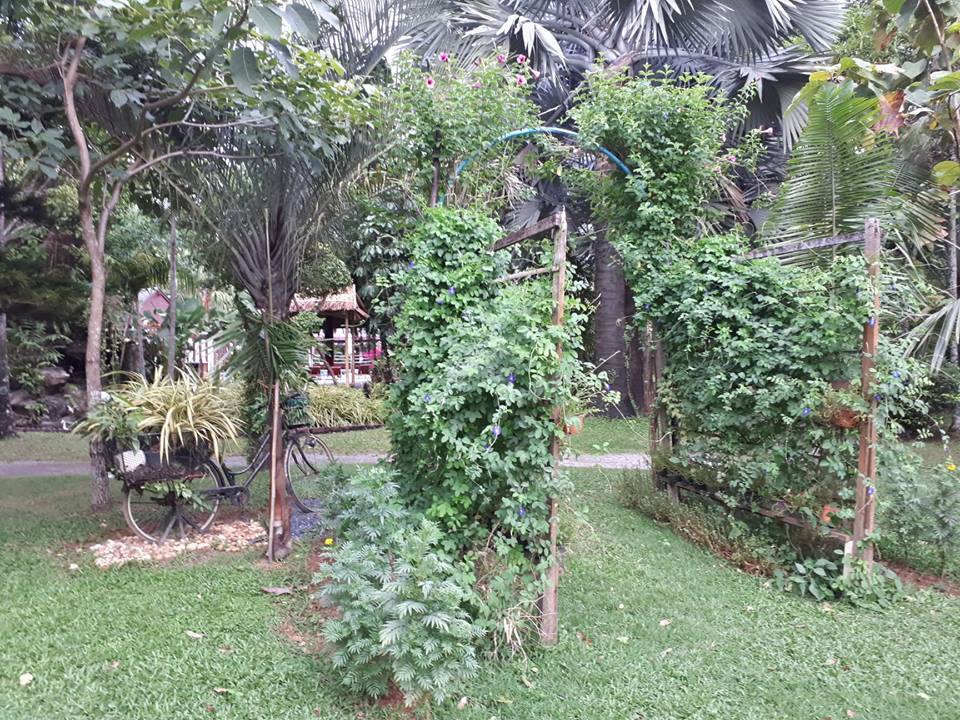 Gartenanlage Deevana Patong Resort & Spa