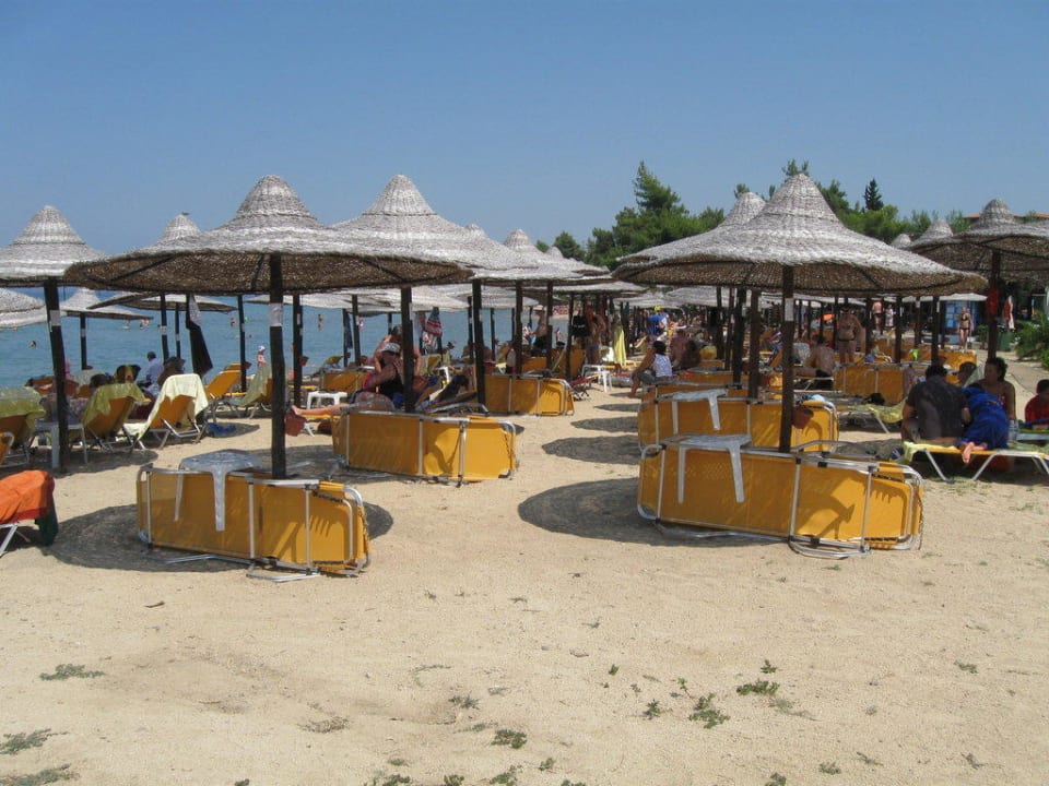 Strand am Morgen Anthemus Sea Beach Hotel & Spa