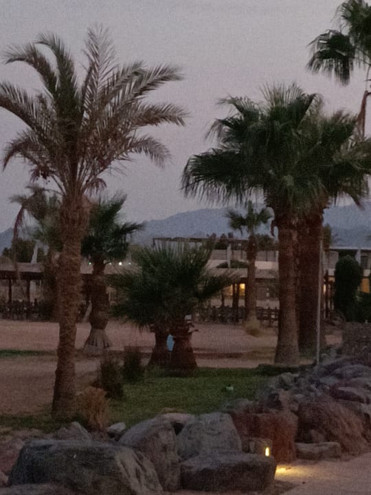 Gartenanlage Shams Safaga Resort
