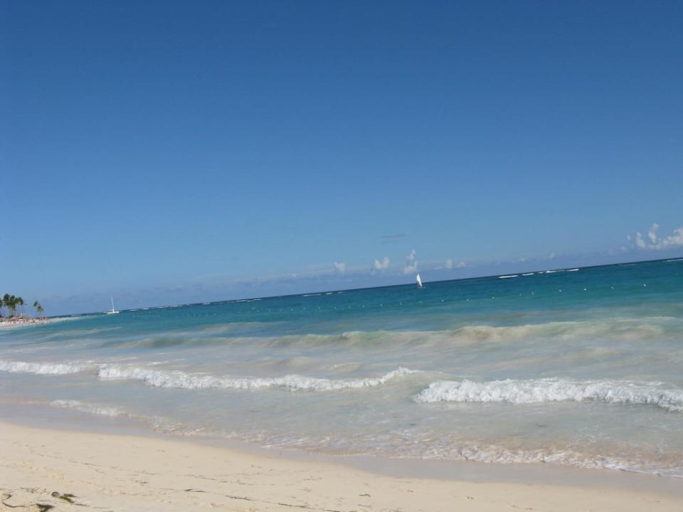 Traumhaftes Meer Occidental Punta Cana
