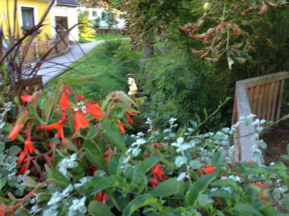 Bad Waltersdorf Heilthermen Resort Bad Waltersdorf