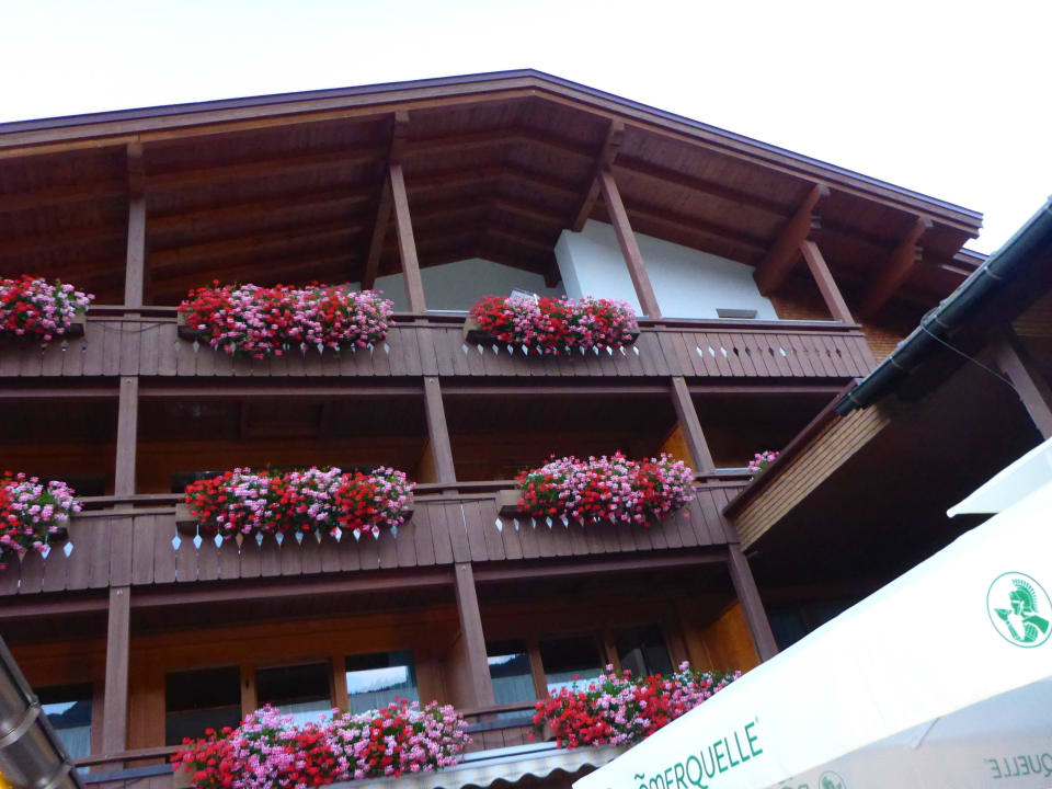Hotel Hotel Alpenblume