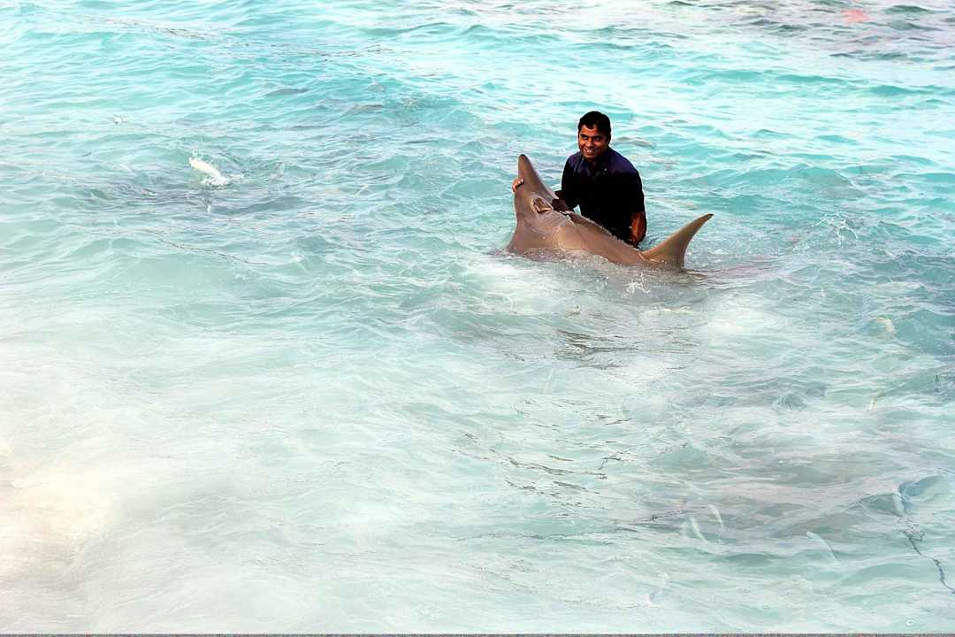 Rochenfütterung NH Collection Maldives Reethi Resort